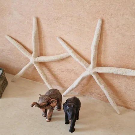 Beachfront Oasis Vip Club